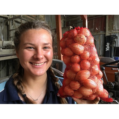 PICKLING ONIONS  5KG Bag Pukekohe Grown